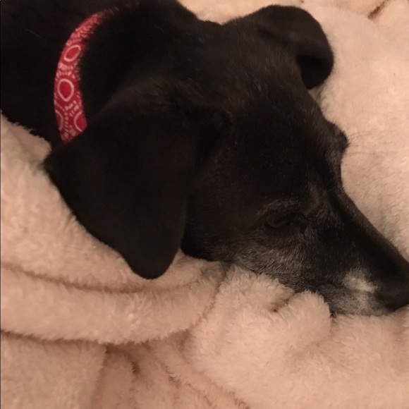 Meet your Posher, Autumn - Picture 1 of 1